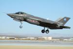 F35 from wikicommons